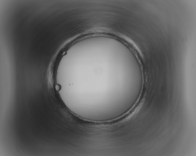 X0000102410973200808011013