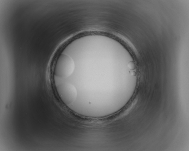X0000102410974200808011013