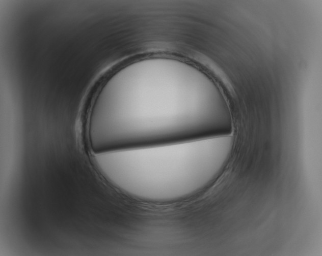 X0000102410975200808011013
