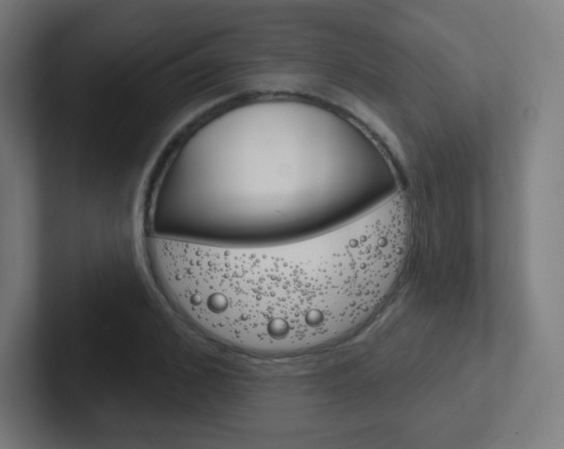 X0000102410976200808011013