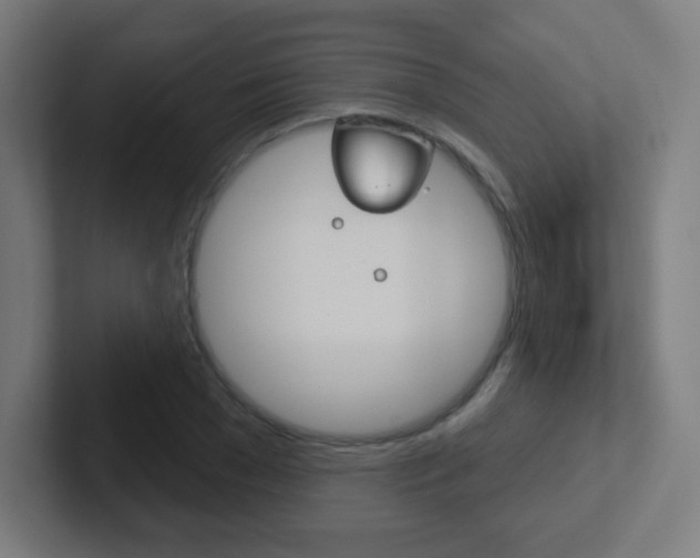 X0000102410977200808011013