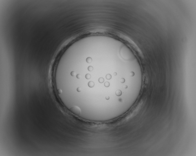 X0000102410978200808011013