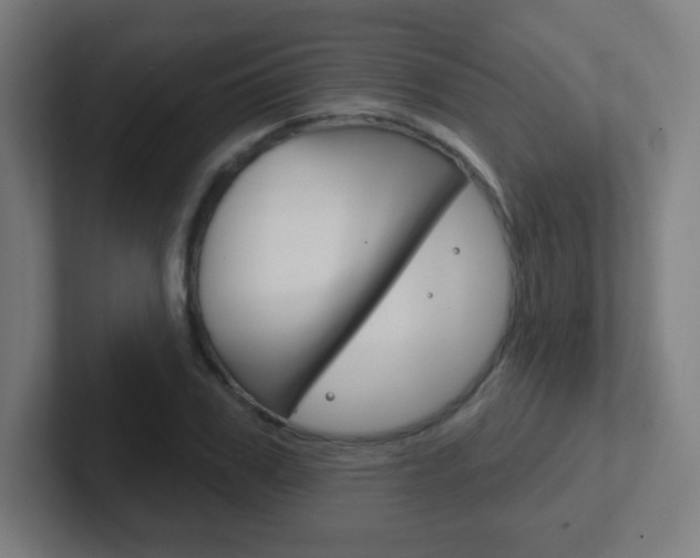 X0000102410979200808011013