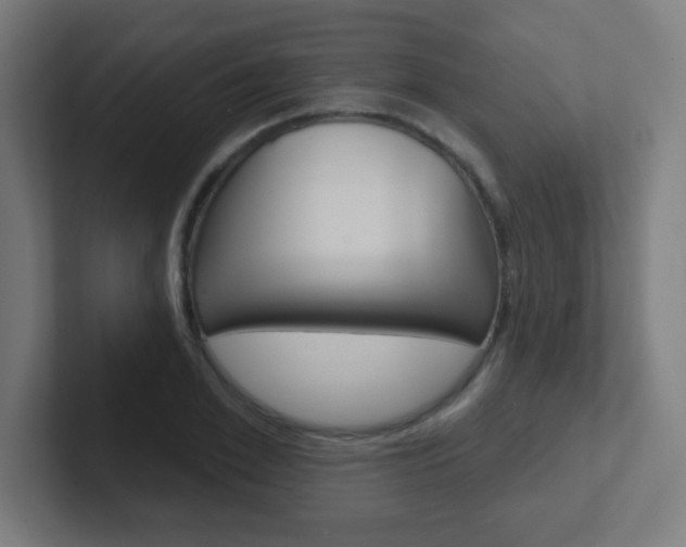 X0000102410981200808011013