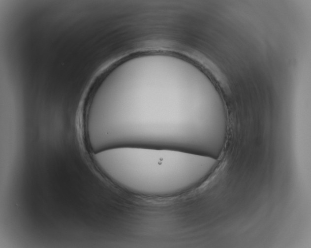 X0000102410982200808011013