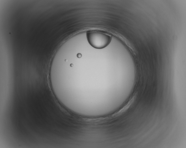 X0000102410985200808011012