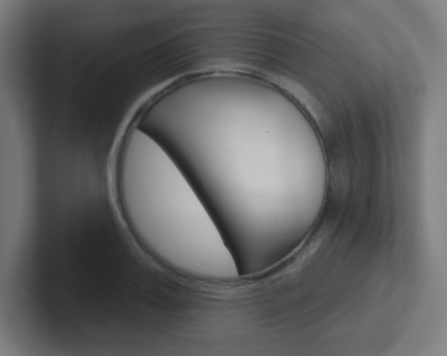 X0000102410987200808011012