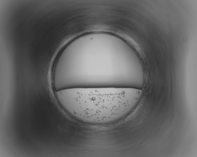 X0000102410990200808011012
