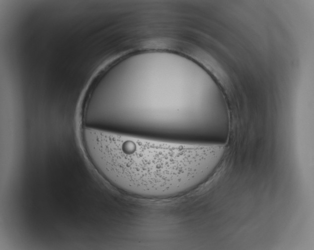 X0000102410992200808011012