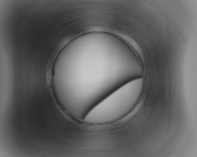 X0000102410993200808011012