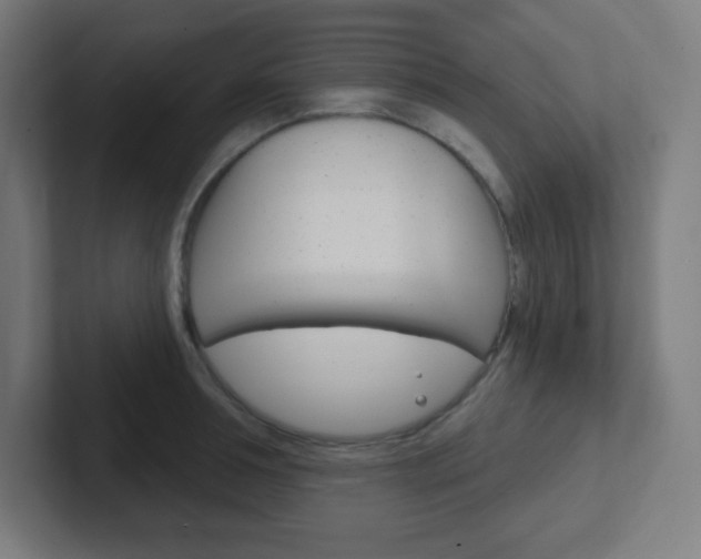 X0000102410994200808011012