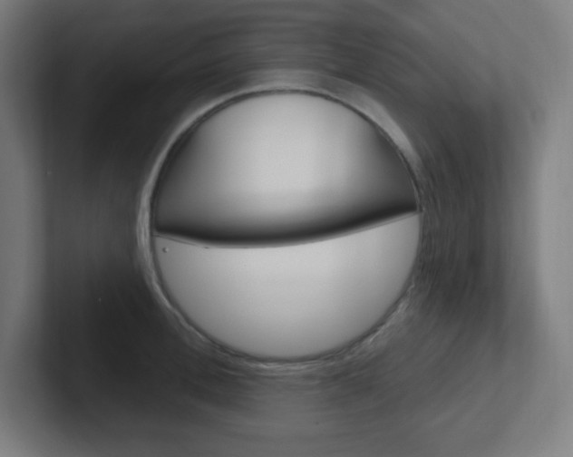 X0000102410996200808011012