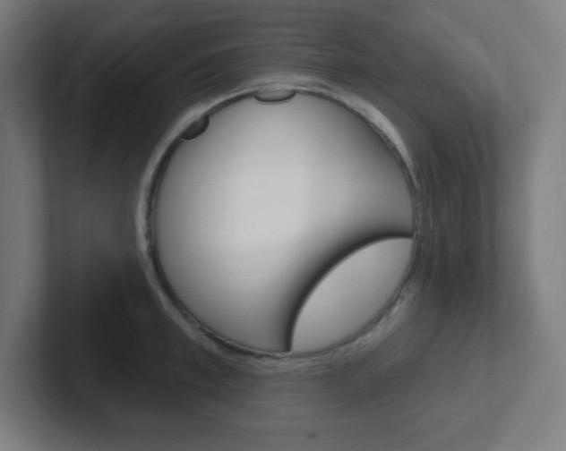 X0000102410997200808011012