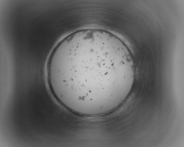 X0000102410998200808011012