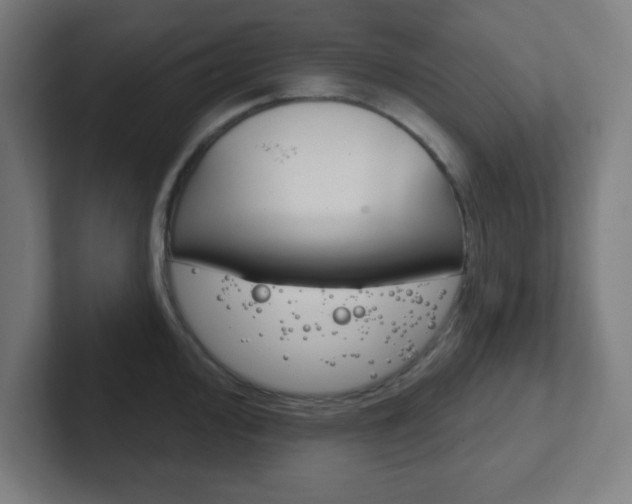 X0000102411000200808011012