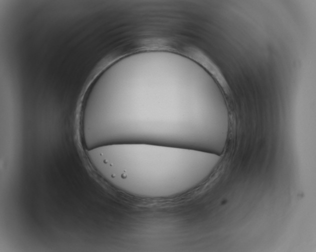 X0000102411002200808011012