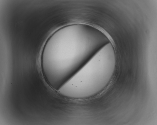 X0000102411004200808011012