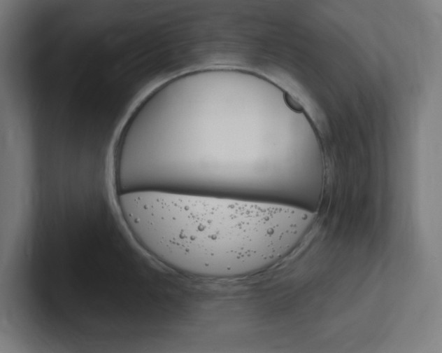 X0000102411006200808011012
