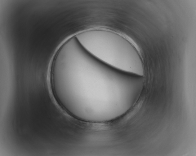 X0000102411007200808011012