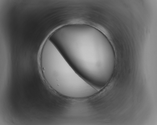 X0000102411008200808011012