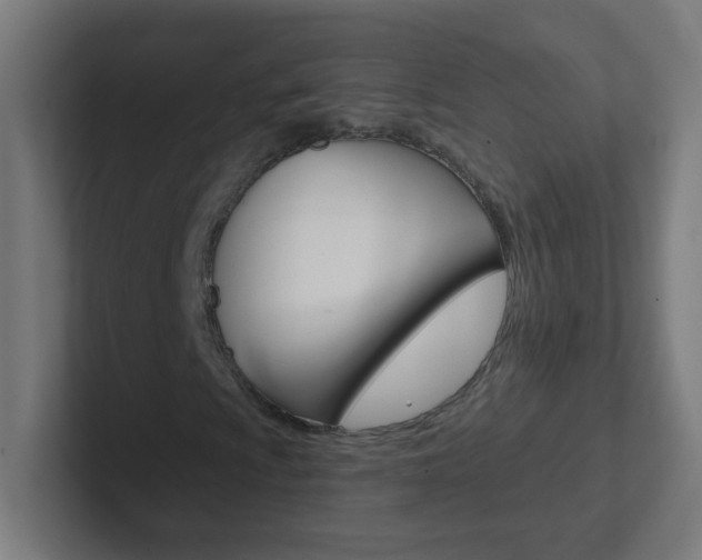 X0000102411009200808011011