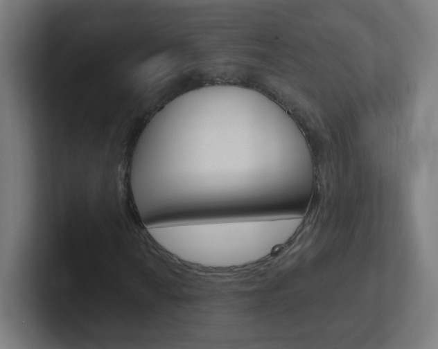 X0000102411010200808011012