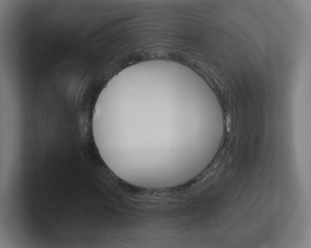 X0000102411011200808011012