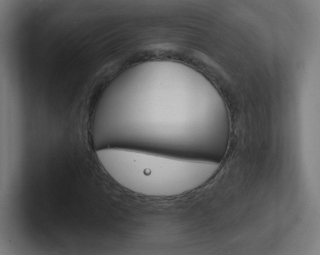 X0000102411014200808011012