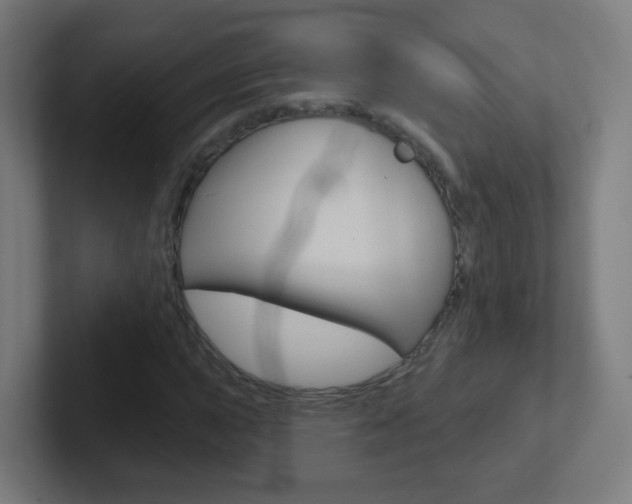 X0000102411015200808011012
