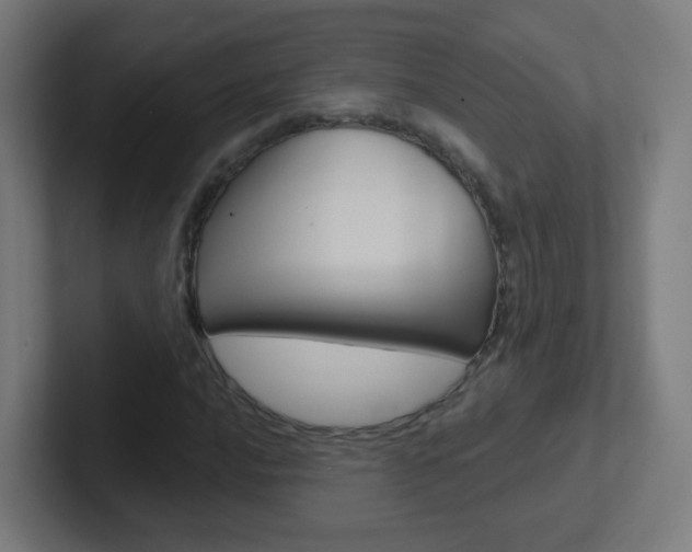 X0000102411016200808011012
