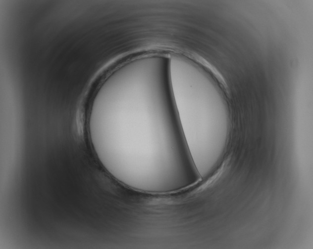 X0000102411021200808011012