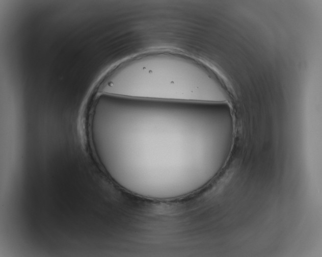 X0000102411022200808011012