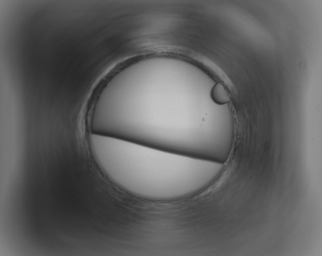 X0000102411023200808011012