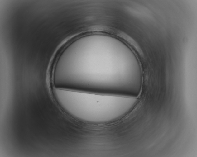 X0000102411024200808011012