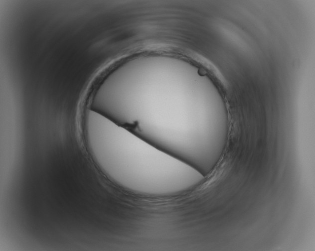 X0000102411027200808011012