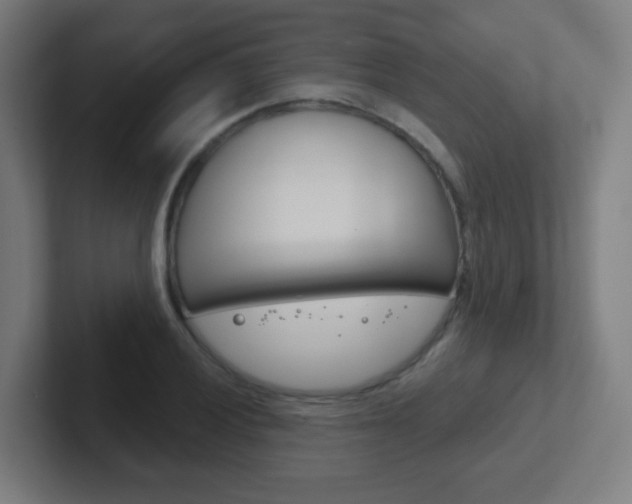 X0000102411028200808011012