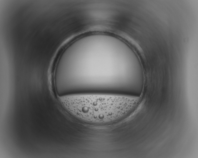 X0000102411029200808011012