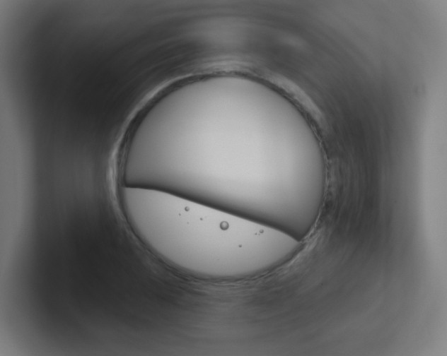 X0000102411031200808011012