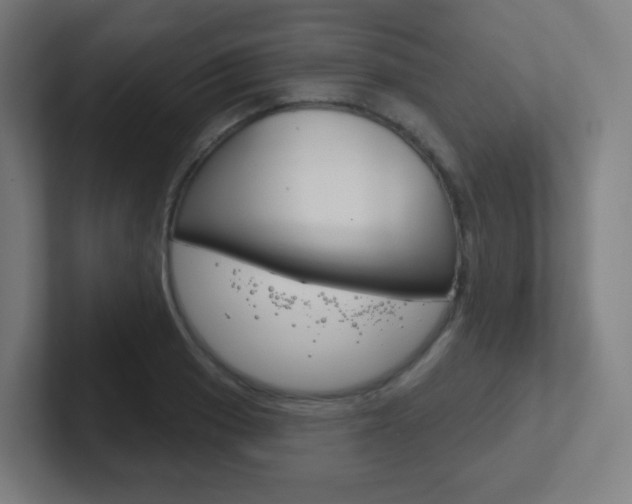 X0000102411033200808011012