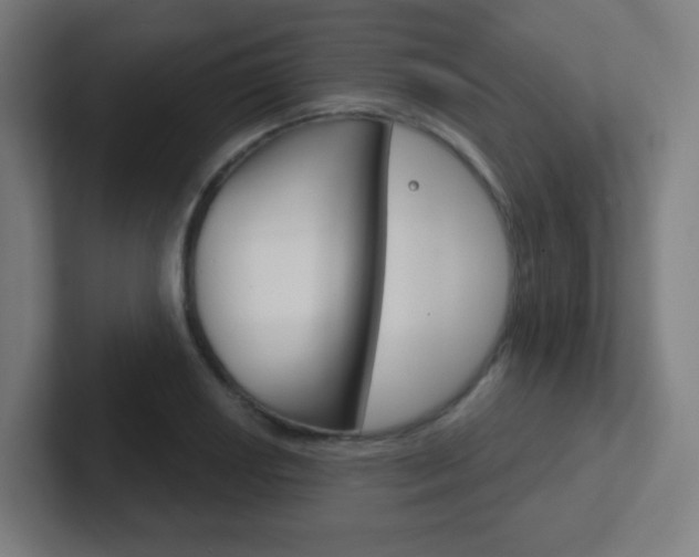 X0000102411034200808011012