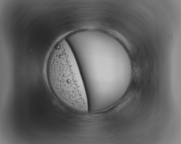 X0000102411035200808011012