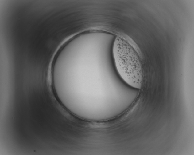 X0000102411036200808011012
