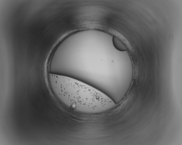 X0000102411039200808011012