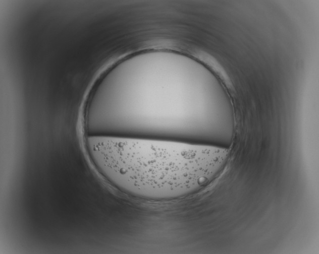 X0000102411040200808011012