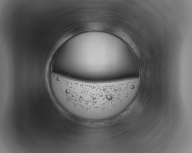 X0000102411042200808011012