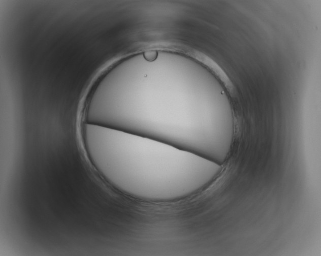 X0000102411043200808011012
