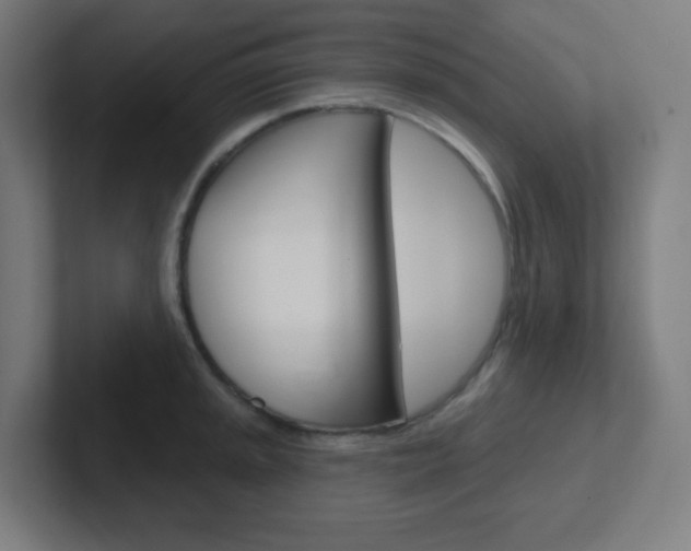 X0000102411045200808011012