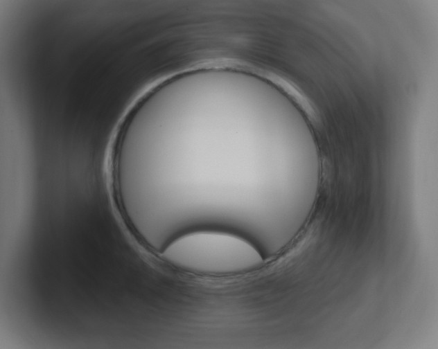 X0000102411046200808011012