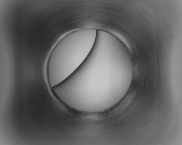 X0000102411047200808011012