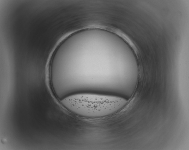 X0000102411048200808011012